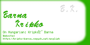 barna kripko business card